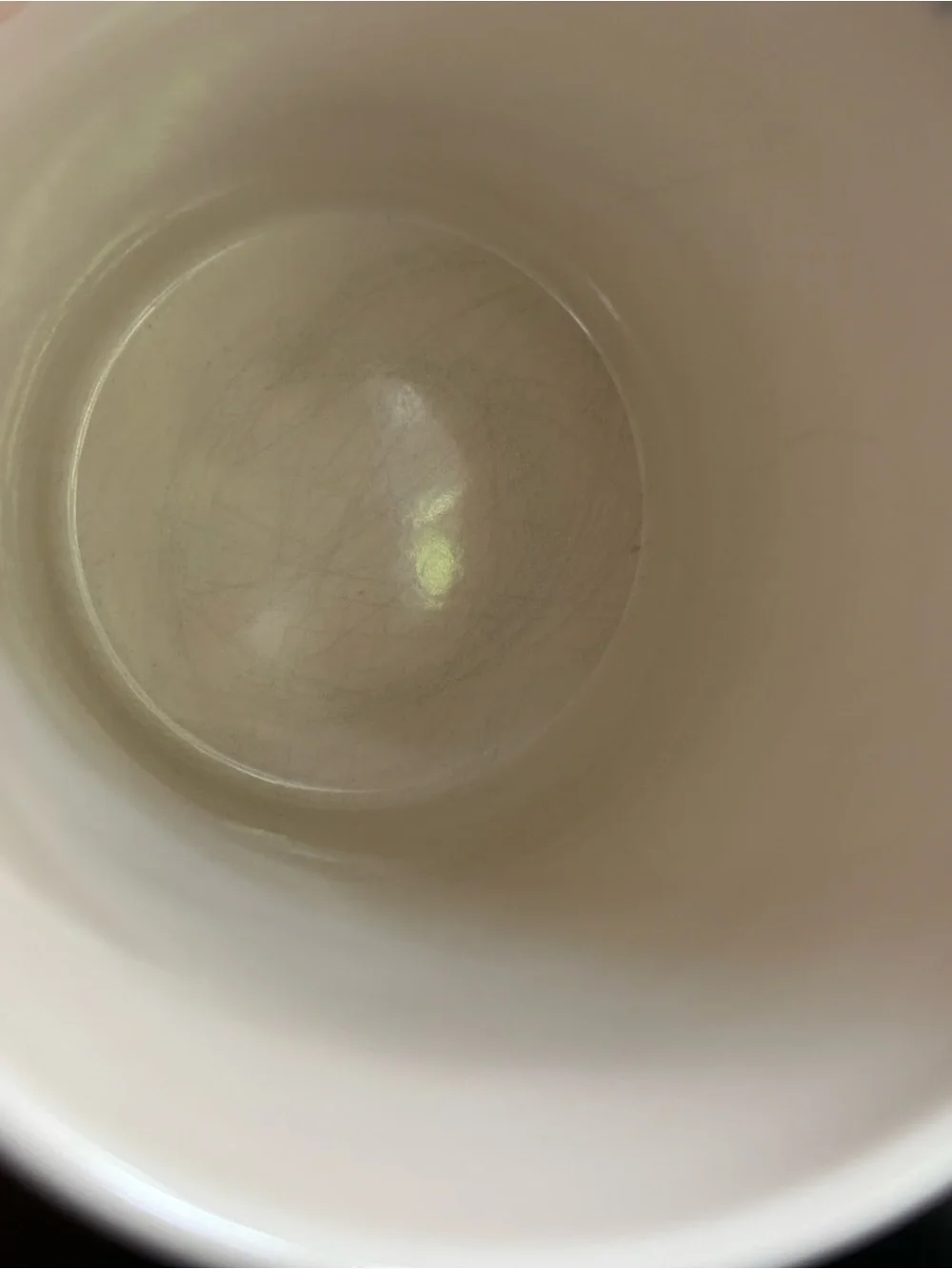 2 Tall Rainbow Heart Mugs “Open Mind, Open Heart” Williams Sonoma Trevor Project